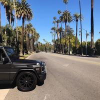 Отзыв от Максим - виза ДТВ